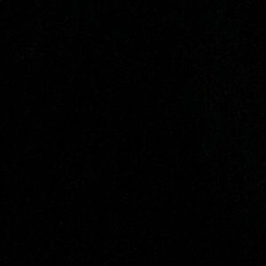 Meet your Posher, Ayla